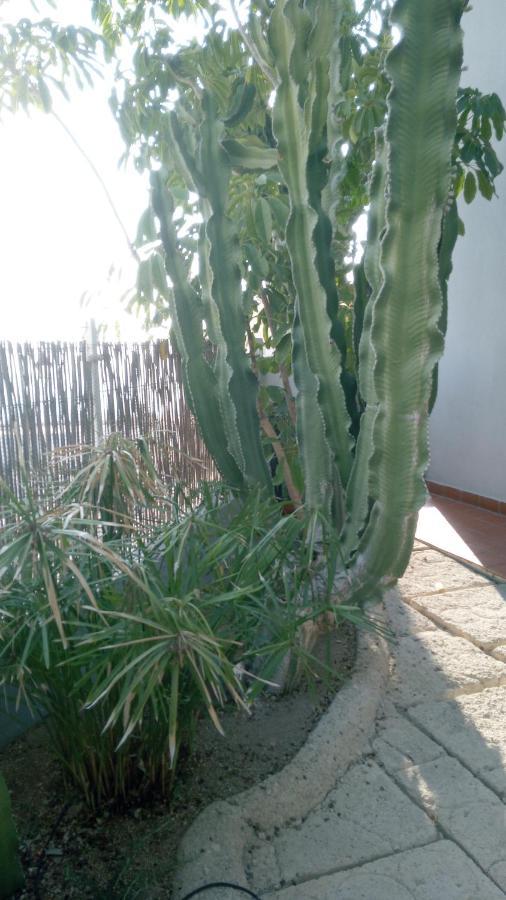 אדחה Apartamento Pardela מראה חיצוני תמונה
