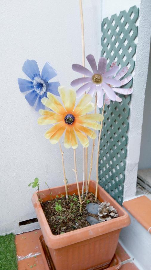 אדחה Apartamento Pardela מראה חיצוני תמונה